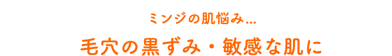 ミンジの肌悩み... 毛穴の黒ずみ・敏感な肌に