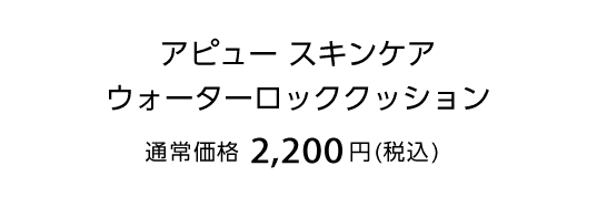 アピュースキンケアウォーターロッククッション 通常価格2,200円(税込)