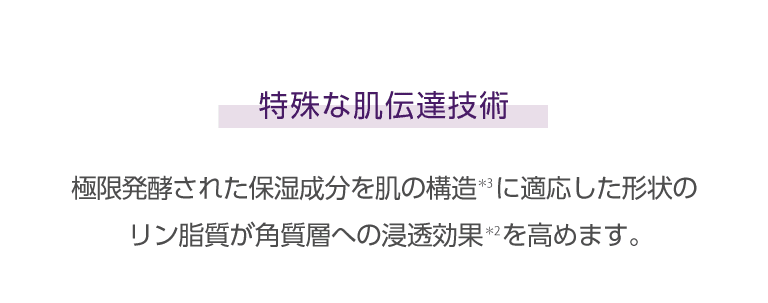 ミシャレボリューション第5世代