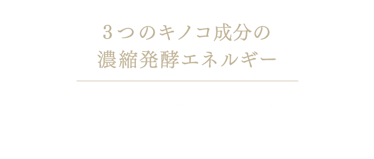 濃縮発酵エネルギー発酵工程